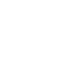 Anti Narrative Network logo